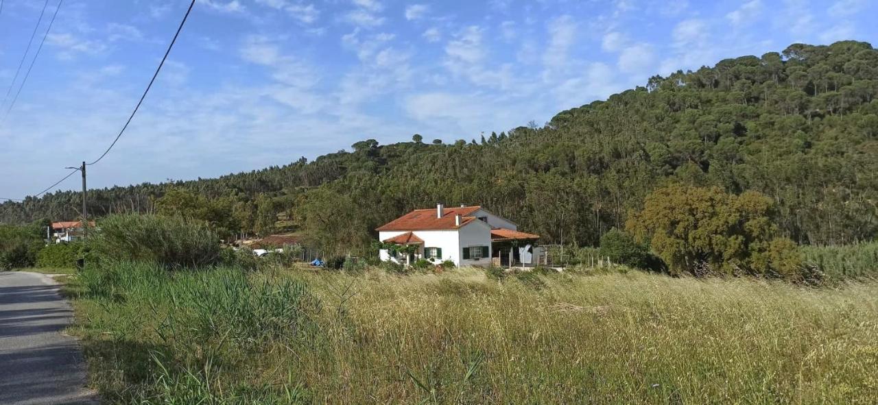 Al- Quinta Dos Carvalhais リオ・マイオル エクステリア 写真